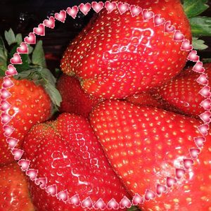 Meet your Posher, Clara